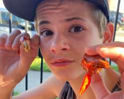 Preston Oliver eating non vegetarian food